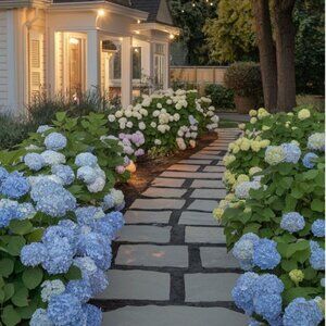 Meet your Posher, Peach!